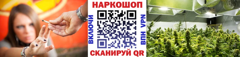 Купить наркотик аптеки Новоульяновск Кокаин  мега сайт  А ПВП  Бошки Шишки  ГАШ 