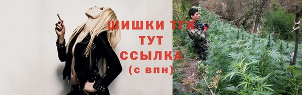 твердый Бронницы