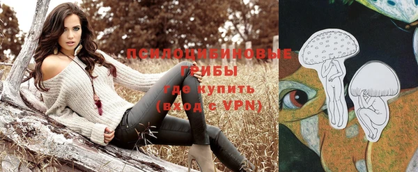 ALPHA-PVP Бугульма